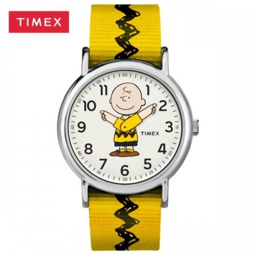 Zegarek Timex TW2R41100