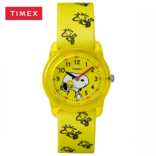 Zegarek Timex TW2R41500