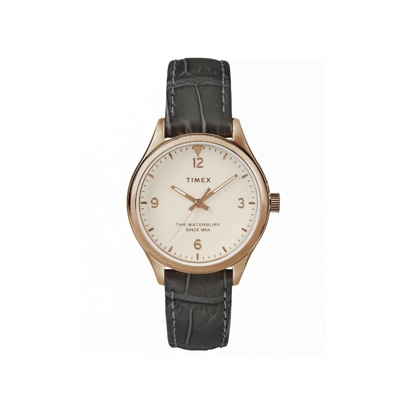 Zegarek Timex TW2R69600