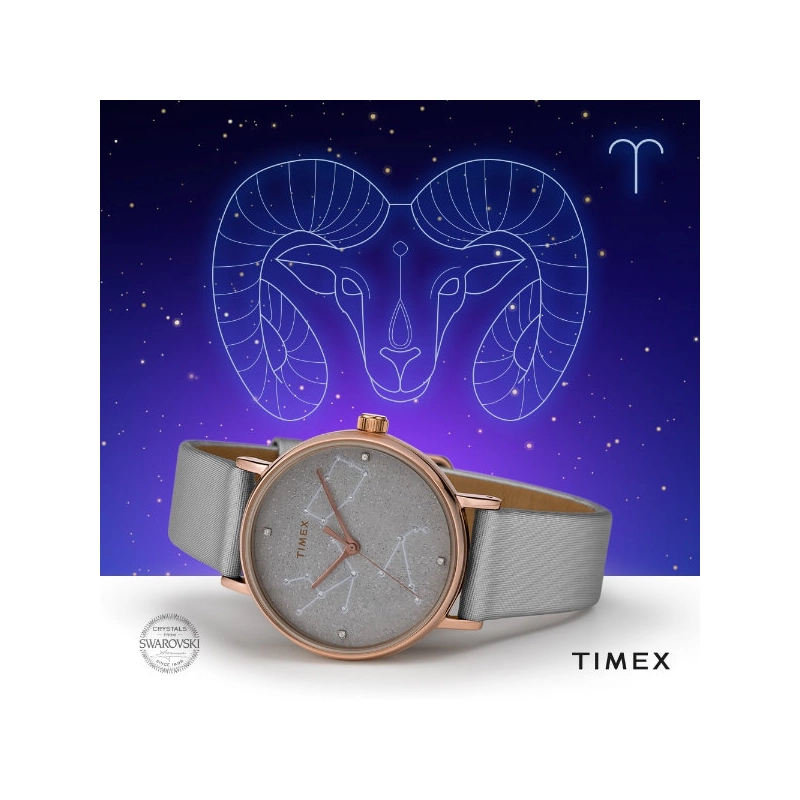Zegarek Timex TW2T87500