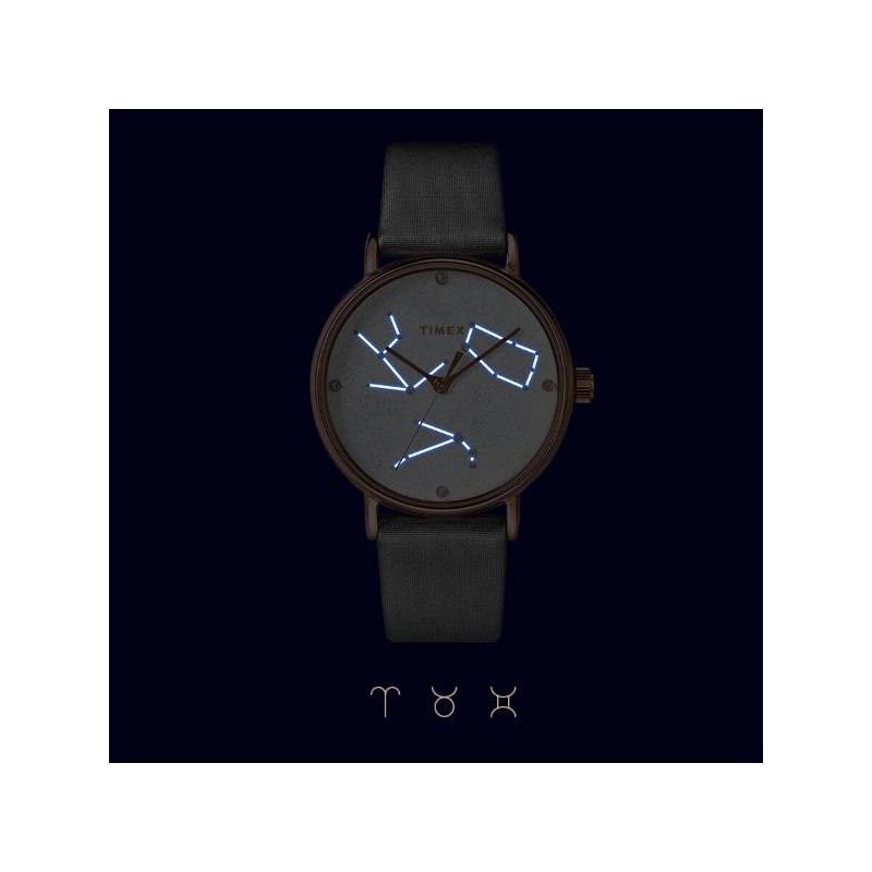 Zegarek Timex TW2T87500