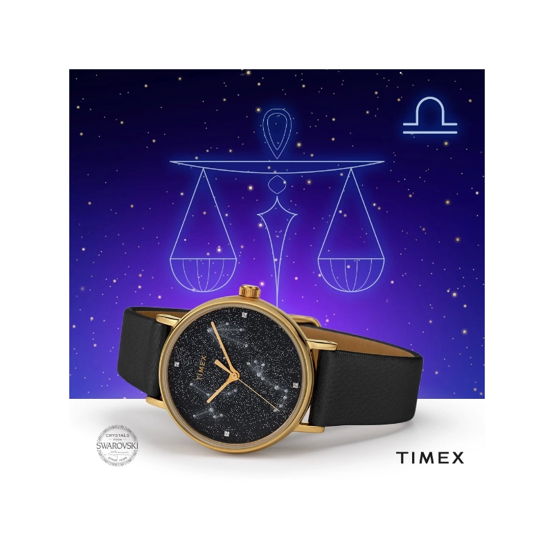 Zegarek Timex TW2T87600